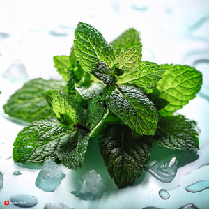 Cool Mint Flavour - 10ml Bottle Vape Liquid